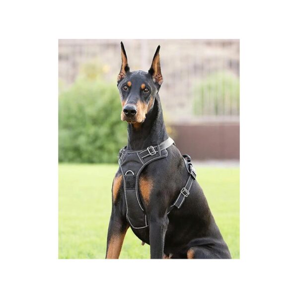 Sturdy XL Black Dog Harness with No-Choke Design for Safe and Relaxed Walks