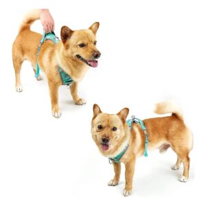 Sturdy and Adjustable Dog Harness with Metal Leash Hooks and Easy Control Handle