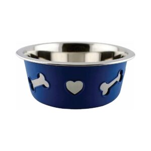 Style Dog Bowl with Stainless Steel Bowl and Silicone Base