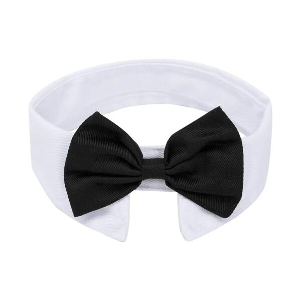 Stylish Black Adjustable Bowtie Collar with Velcro Closure for Small Dogs and Cats