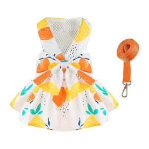 Stylish Bowknot Puppy Cat Princess Dog Dress and Leash for Small Female Dogs