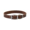 Stylish Buckle Closure Brown Leather Dog Collar 1 x 21