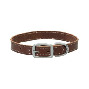 Stylish Buckle Closure Brown Leather Dog Collar 1 x 21