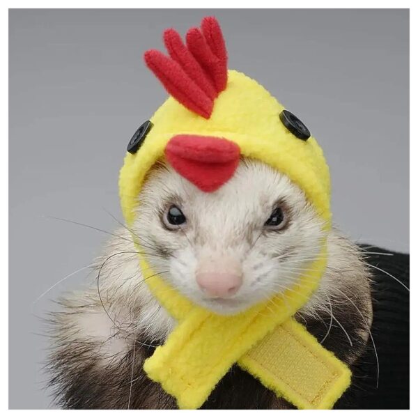 Stylish Cartoon Ferret Chicken Pet Cap for Everyday Decoration for Ferrets and Hamsters