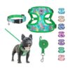 Stylish Green Floral Pattern Dog Vest Harness for Large Dogs