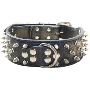 Stylish Leather Dog Collar for Medium Large Dogs with 2 Inch Width