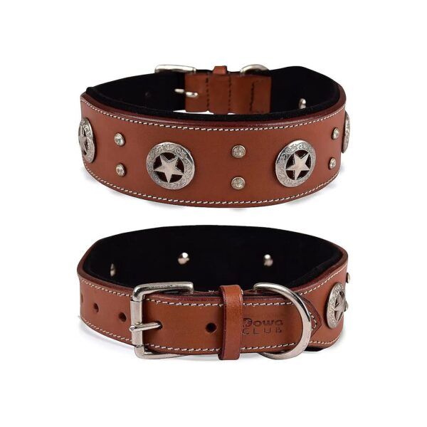 Stylish Leather Dog Collar for Medium to XL Breeds with Adjustable Girth