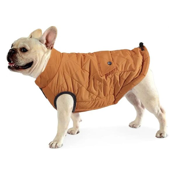 Stylish Orange Dog Winter Coat for Small Breeds Windproof and Warm