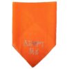 Stylish Orange Rhinestone Bandana for Pet Play and Everyday Wear