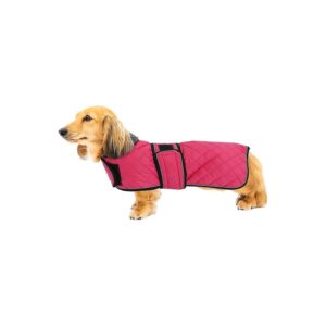 Stylish Pink Dachshund Coat with Windproof and Waterproof Fabric for Medium to Large Dogs