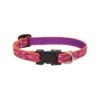 Stylish Pink or Purple Alpen Glow Patterned Collar for Small Dogs