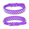 Stylish Purple Puppy Collar Made from High Quality Soft Leather for Small to Medium Dogs