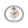 Stylish Silver Metal Chain Dog Collar with Locking Clasp and CZ Stones for Small Dogs