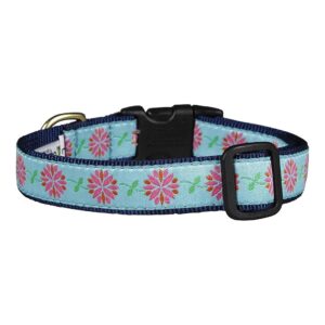 Stylish Solid Dahlia Darling Dog Collar Medium 12-18 inches with 1 inch Width