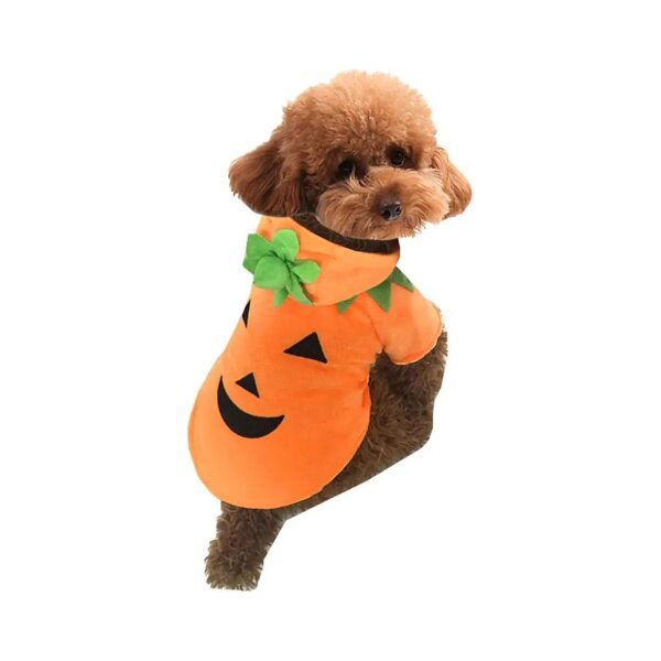 Stylish and Cosy Dog Halloween Costume with Pumpkin Leaf Accents and Soft Fleece Material