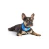 Stylish and Functional Dog Bandana for Large/X-Large Dogs