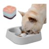 Stylish and Functional Slow Feeding Dog Bowl with Four-Leaf Clover Pattern