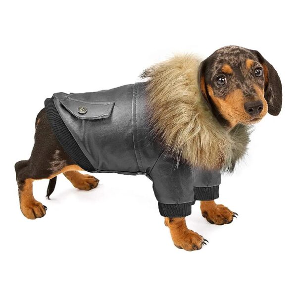 Stylish and Functional Waterproof Dog Jacket for Small Winter Dogs