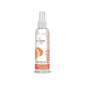 Sugar Cane and Grapefruit Odor Neutralizing Spray for Multiple Surfaces