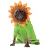 Sunflower Patterned Large Dog Costume for Dogs with Chest Size 10 Inches