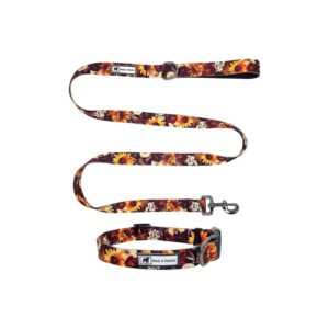 Sunflowers Floral Patterned Dog Collar and Leash Set for Male and Female Dogs