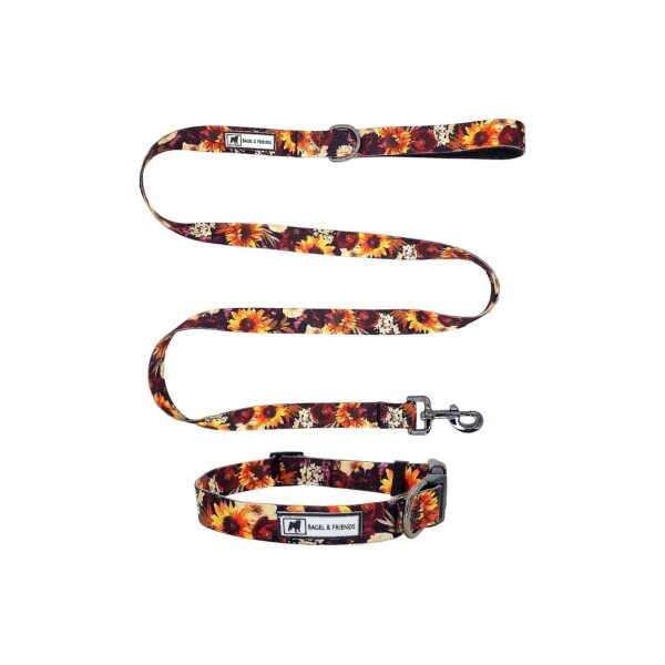 Sunflowers Floral Patterned Dog Collar and Leash Set for Male and Female Dogs