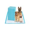 Super Absorbent Jumbo Size Pet Training Pads for Dogs Cats and Rabbits