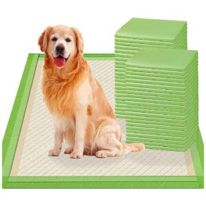 Super Absorbent Pet Training Pads for Small Dogs, Puppies, and Kittens