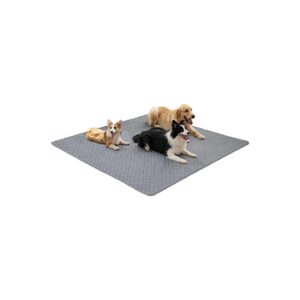 Super Absorbent Pet Wee Training Pads for Large Breeds and Senior Dogs with Easy Care