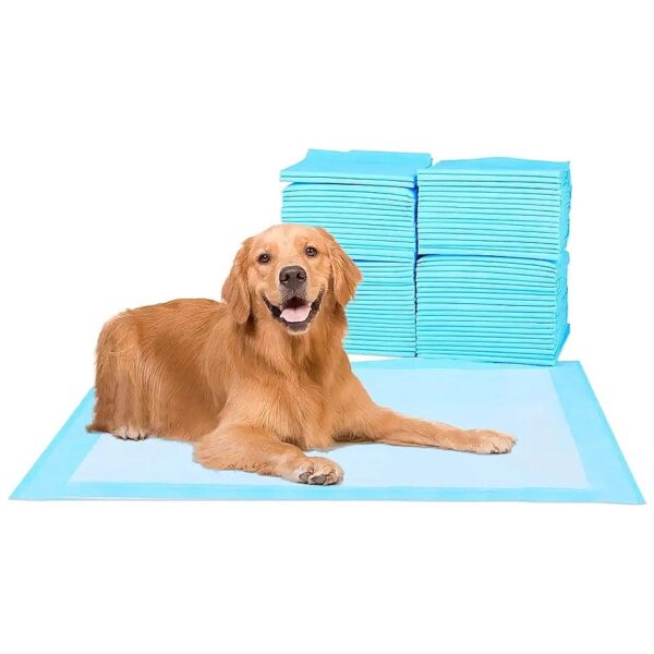 Super Absorbent Waterproof Pet Training Pads for Housebreaking Puppies and Senior Dogs