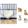 Super Cute Heart-Shaped Food Bowl for Small Pets and Rabbits