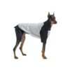 Super Soft Cotton Raglan Dog Shirts for Small and Large Breeds X-Large Gray/Black