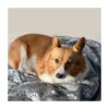 Super Soft, Warm Fluffy Facecloth, Sofa Car Bed Protector, for Puppy, Large Dogs & Cats