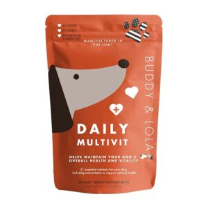 Superfood Multivitamin for Dogs with Antioxidants and Omega Fatty Acids