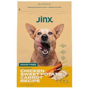 Superfood and Probiotic Rich Dog Kibble with Chicken Sweet Potato