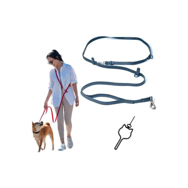 Superior Heavy Duty Hands Free Leash for Medium to Large Dogs with Dual D-Rings