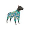 Superior Post Surgery Recovery Clothing for Big Dogs