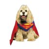 Superman Dog Costume for Medium Sized Dogs Polyester Material