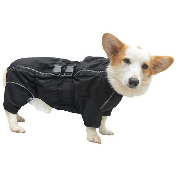 Superworm Waterproof Dog Jacket for Small Breeds like Dachshund and Corgi