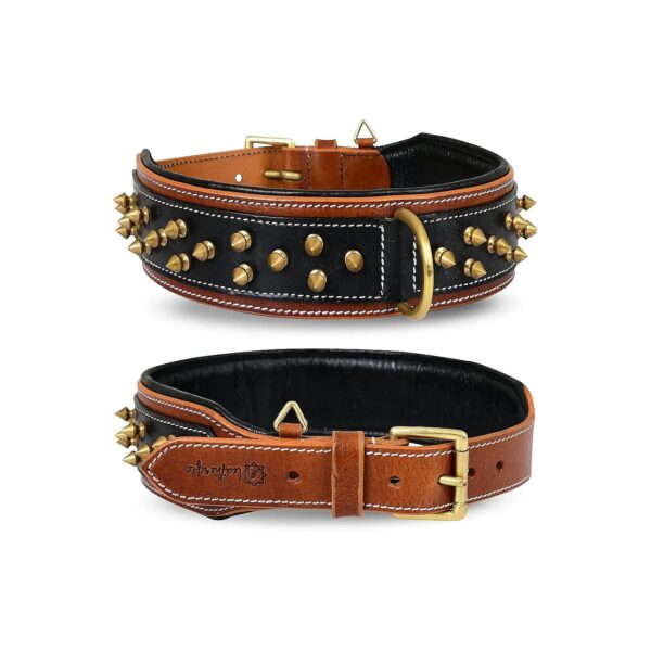 Supple, and Strong Spiked Leather Dog Collars for Medium to XL Breeds