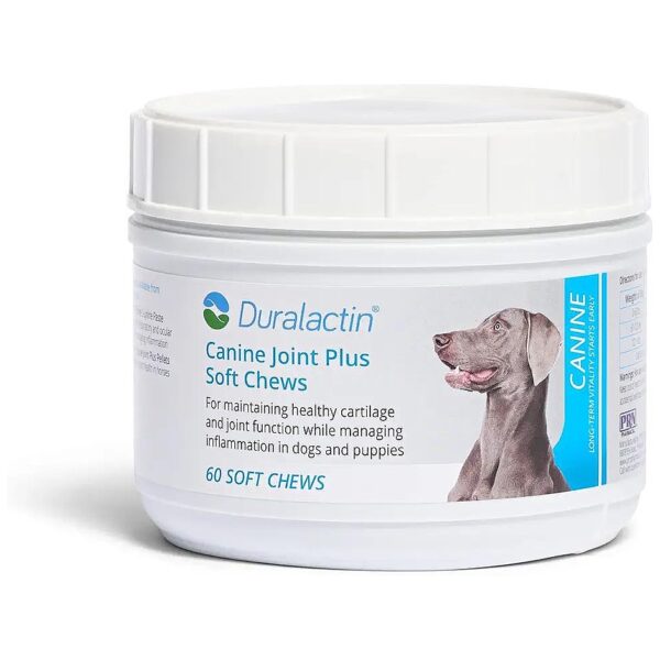 Support Healthy Joint Cartilage Levels Function for Dogs Puppies Supplements