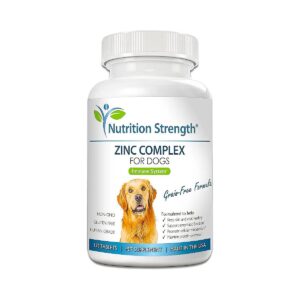 Support Your Dog's Skin, Coat, and Immune System with Zinc and Vitamins E and B