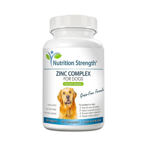 Support Your Dog's Skin, Coat, and Immune System with Zinc and Vitamins E and B