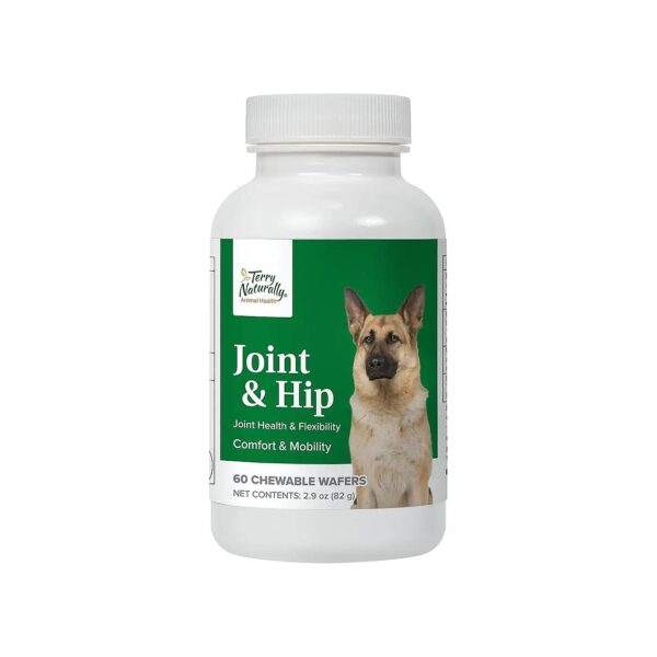 Supporting Healthy Joints and Hip Function in Dogs with Herbal Formulation