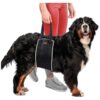 Supportive Dog Lift Harness for Elderly Dogs with Back Leg, Hips, and Back Support