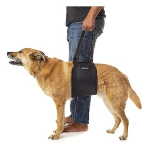 Supportive Dog Sling Harness for Elderly, Senior Dogs with Knee and Leg Injuries