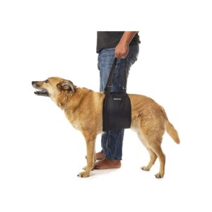 Supportive Dog Sling for Elderly and Senior Dogs with Hip Injuries