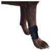 Supportive Front Leg Dog Wrap for Injuries and Sprains Treatment