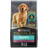 Supportive Puppy Food with High-Quality Protein, Real Lamb, and Live Probiotics