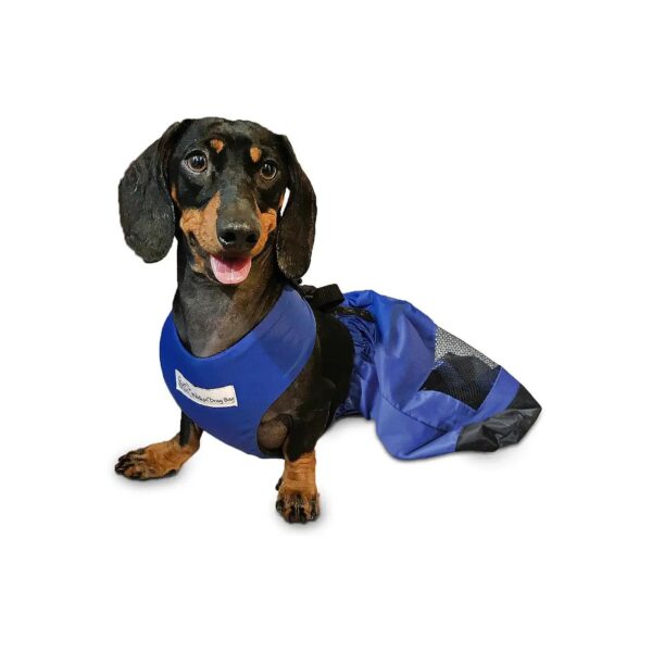 Supportive and Comfortable Drag Bag for Paralyzed Rear Legs for Small Pets